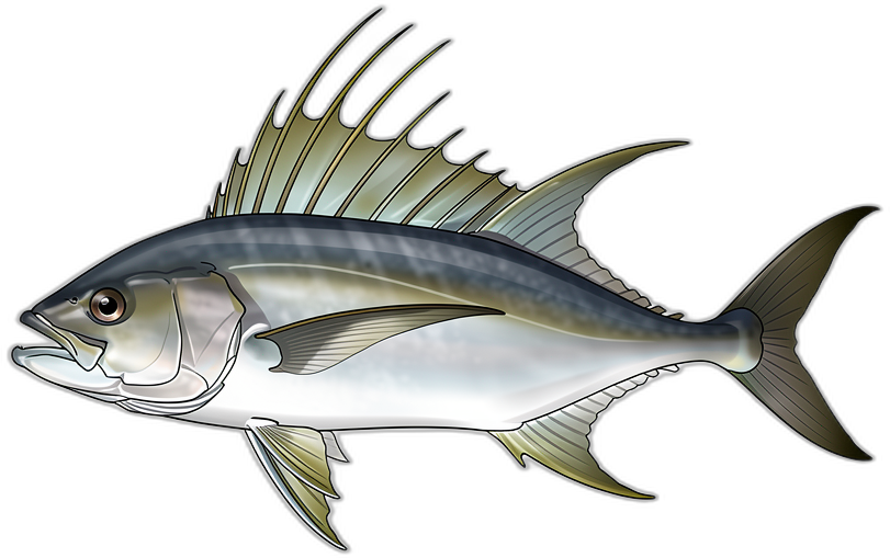 Hahnenfisch