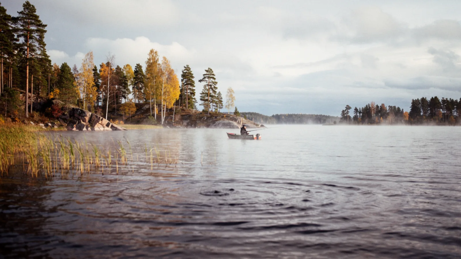 Saimaa