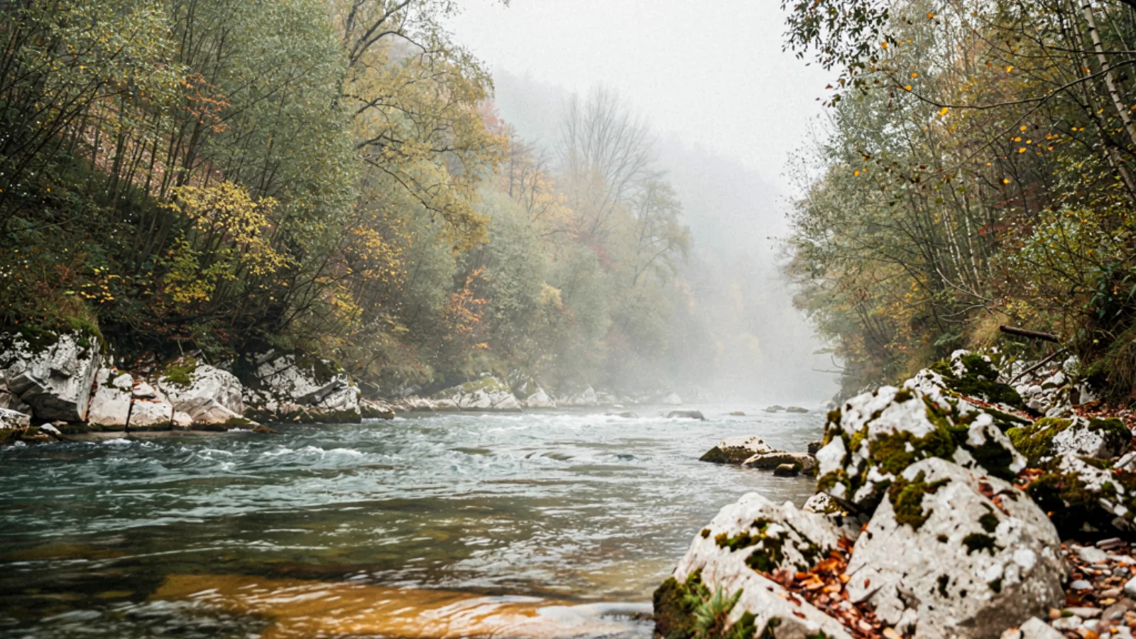 Doubs/Jura
