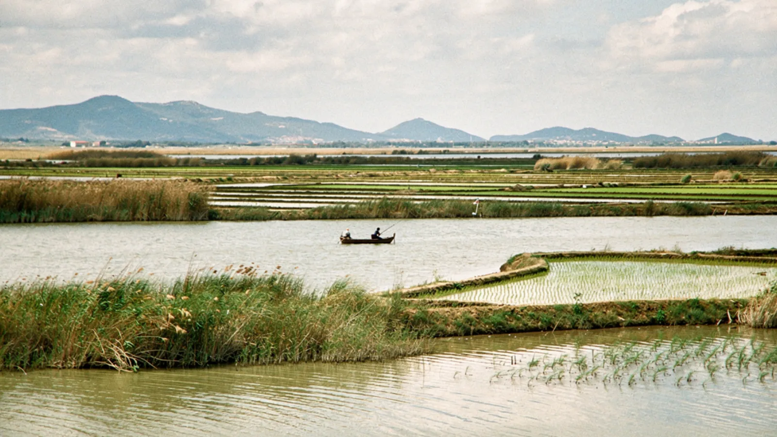 Ebro Delta